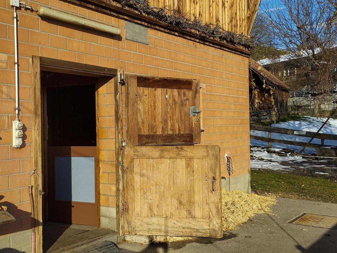 Haengebett Im Stall Farm stay