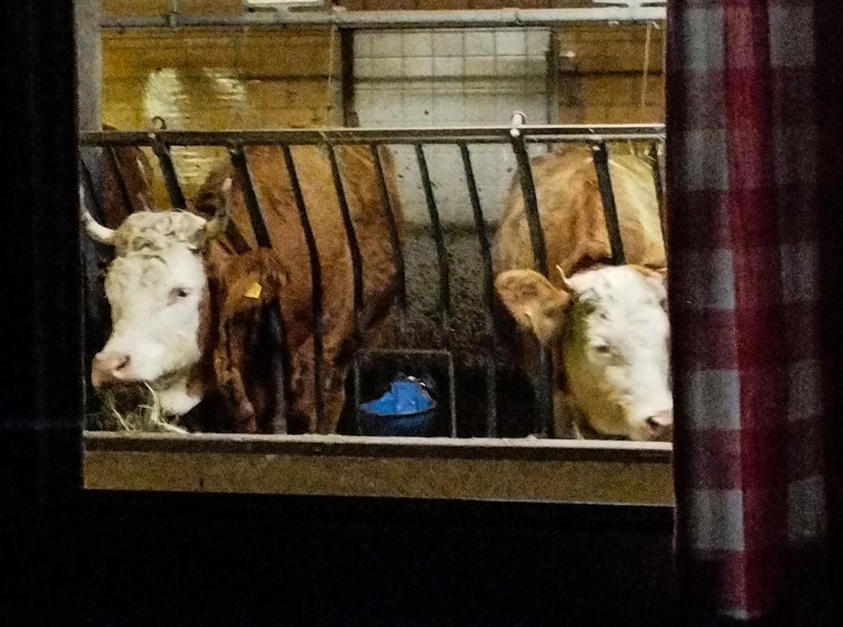 Farm stay Haengebett Im Stall *